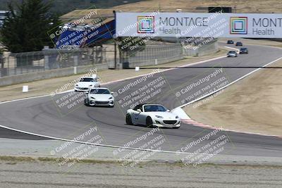 media/May-18-2025-Speed Ventures (Sun) [[b6e29aef7d]]/Yellow/Session 2 (Turn 5)/